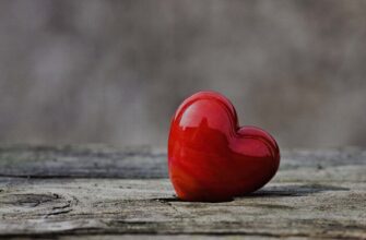 Лекарство для встревоженных сердец | Проповедь